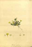  no thumbnail available