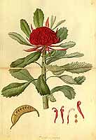  no thumbnail available