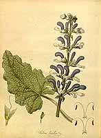  no thumbnail available