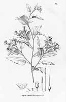  no thumbnail available