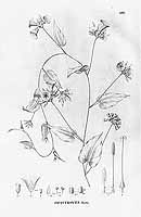  no thumbnail available