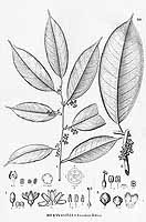  no thumbnail available