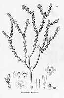  no thumbnail available