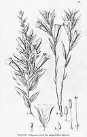  no thumbnail available