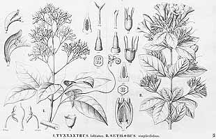  no thumbnail available