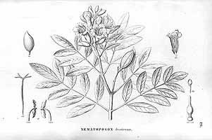  no thumbnail available