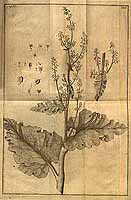  no thumbnail available