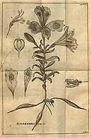  no thumbnail available