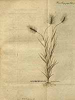  no thumbnail available