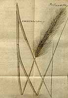  no thumbnail available