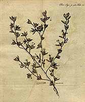  no thumbnail available