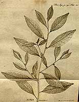  no thumbnail available