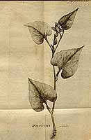  no thumbnail available