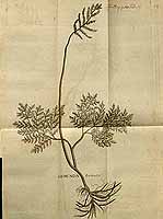  no thumbnail available