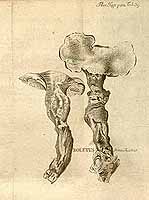  no thumbnail available