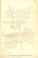  no thumbnail available