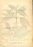  no thumbnail available