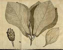  no thumbnail available