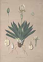  no thumbnail available