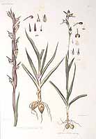  no thumbnail available