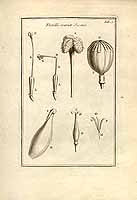  no thumbnail available