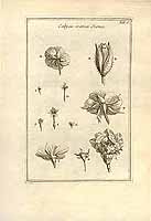  no thumbnail available