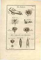  no thumbnail available