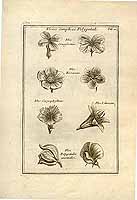  no thumbnail available