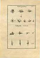  no thumbnail available