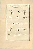  no thumbnail available