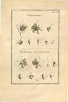  no thumbnail available