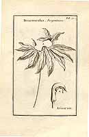  no thumbnail available