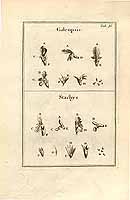  no thumbnail available