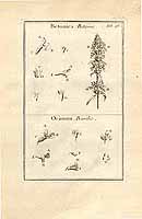  no thumbnail available