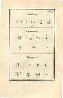  no thumbnail available