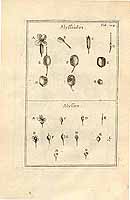  no thumbnail available