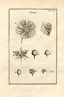  no thumbnail available