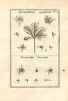  no thumbnail available