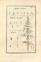  no thumbnail available