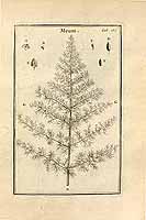  no thumbnail available