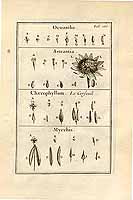  no thumbnail available