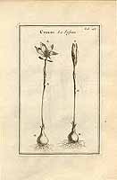  no thumbnail available