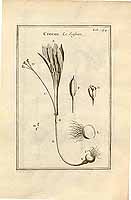  no thumbnail available