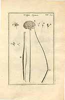  no thumbnail available