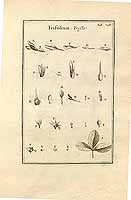  no thumbnail available