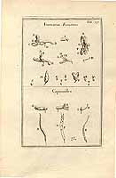  no thumbnail available