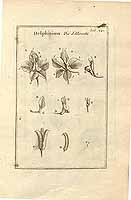  no thumbnail available