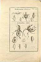  no thumbnail available