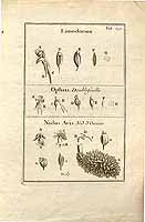  no thumbnail available