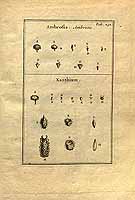  no thumbnail available